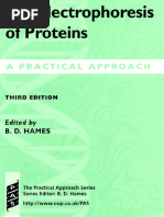 LIBRO Gel Electrophoresis of Proteins B. D. Hames