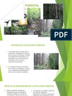 Ecología forestal 1.pptx