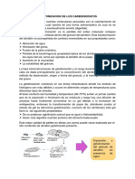 Gelatinizacion de Los Carbohidratos