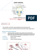 Saraf Kranial