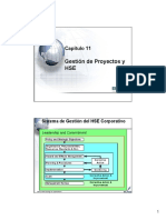 Capitulo 11 HSE y Gestion de Proyectos PDF