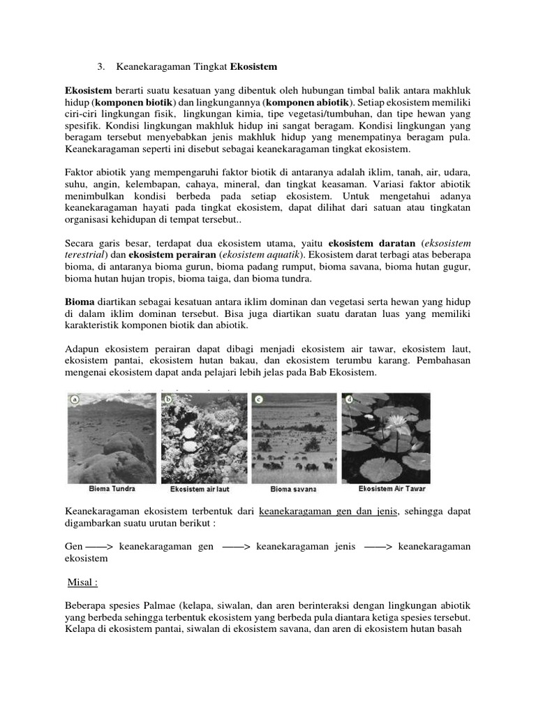 Ciri Abiotik Ekosistem Air Laut Adalah Ini Cirinya