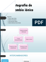 Cromatografía de Intercambio Iónico