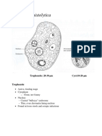 Protista PDF