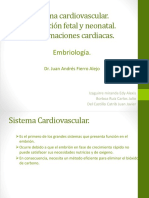 Circulacion Fetal