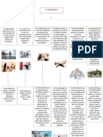 La Actividad Física