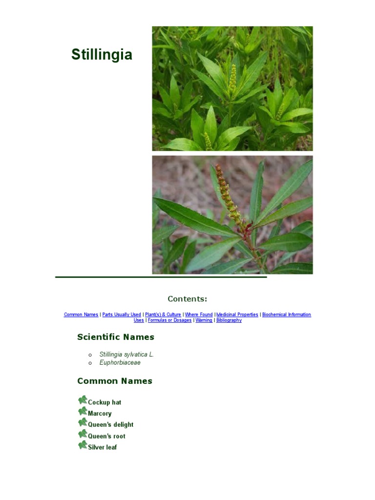 Stilling I A | PDF | Home & Garden | Wellness