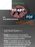 Yeast Presentation