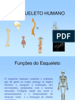 Esqueleto Human o