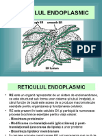 Reticulul Endoplasmic Si Aparatul Golgi