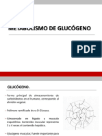 55837199-glucogenesis