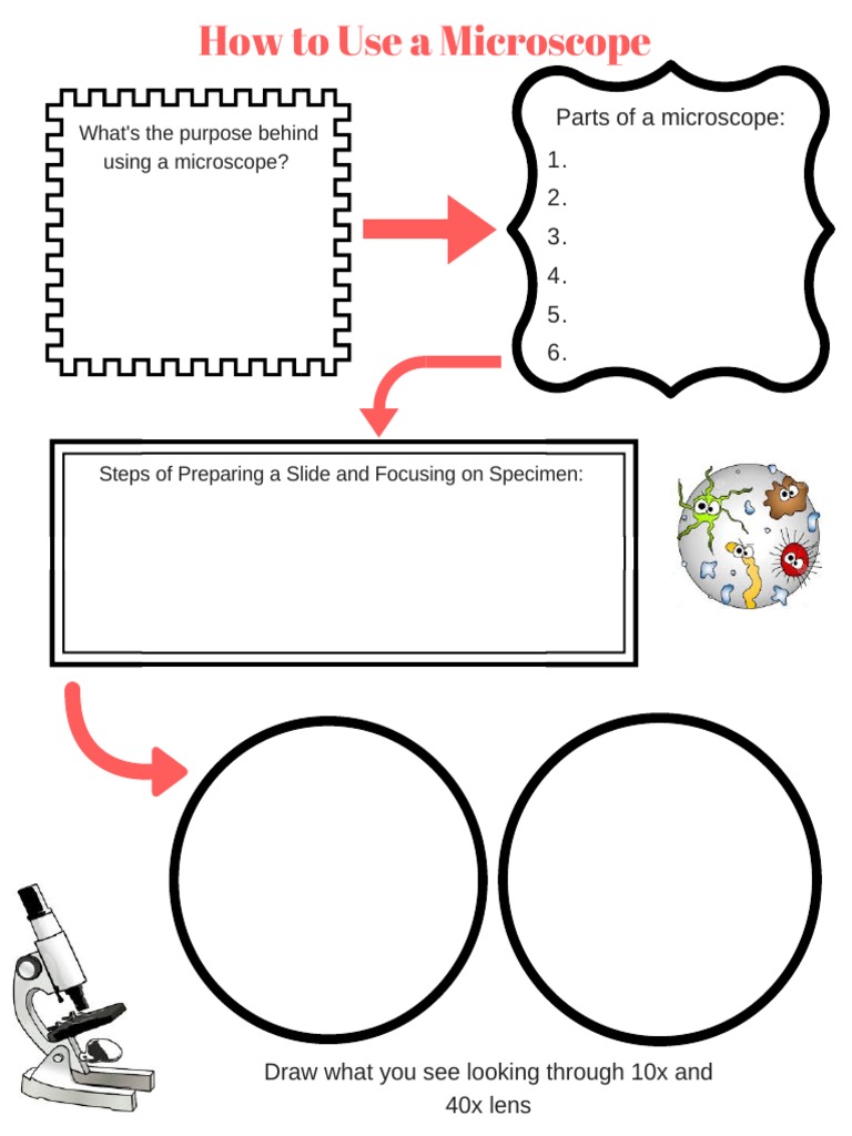 How To Use A Microscope PDF
