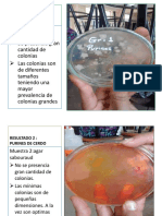 RESULTADOs y Discusiones