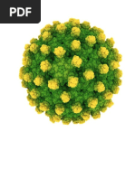 Hepatitis b Sec Pachachaca. Copiqa 222222docx