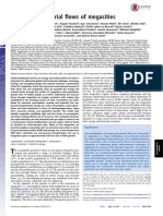 SUSTAINABILITY SCIENCE: Energy and material flows of megacities