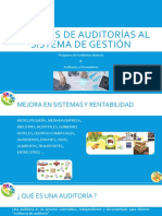 Servicios de Auditorías al Sistema de Gestión.pdf