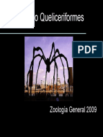 Queliceriformes PDF