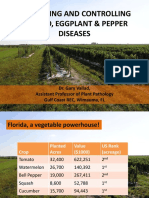 Tomato Diseases