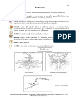 21. Passifloraceae DOCU.pdf