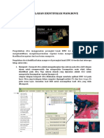 Modul - Mangrove ENVI PDF