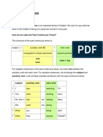 Past Continuous Tense