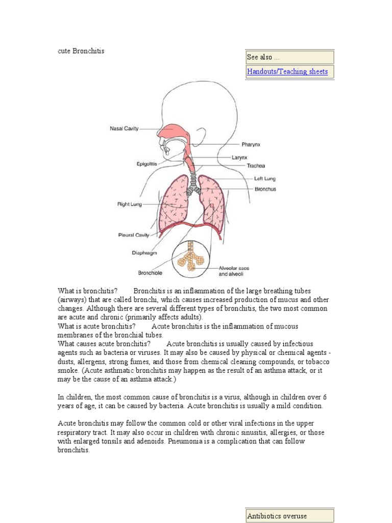 Acute Bronchitis PDF Bronchitis Mucus