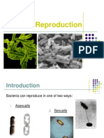 Bacterial Reproduction