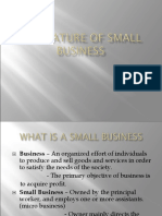Chapter 2 - The Nature of Small Business