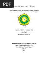 Download Laporan Praktek Kerja Lapangan Rusa Olin by Olivia Yohanes SN366100384 doc pdf
