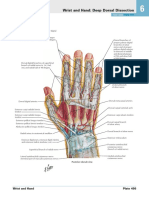 Wrist and Hand: Deep Dorsal Dissection : See Also