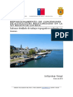 articles-84152_documento.pdf