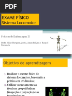 Aula 9 - Ex Fis - Sistema Locomotor