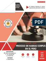 Seminario Proceso de Habeas Corpus en El Perú