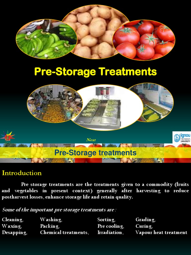 Pre Storage Treatments 1 PDF Vegetables Onion