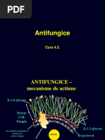 8. Antifungice