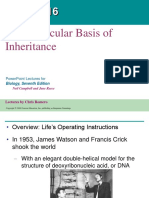 16-molecularinheritance text.ppt