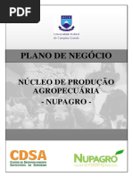 plano_negocio_nupagro_2012.pdf
