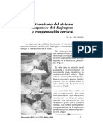 ESTIRAMIENTO+DEL+SISTEMA+SUSPENSOR+DEL+DIAFRAGMA+Y+COMPENSACION+CERVICAL