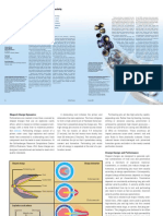 Perforating Practices That Optimize Productivity.pdf