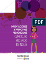 Anexo 14 Orientaciones y principios Pedagogicos.pdf