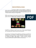 ENDOCRINOLOGIA