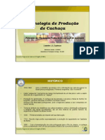 tec_cachaca.pdf