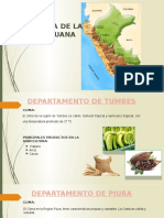 Agricultura de La Costa Peruana