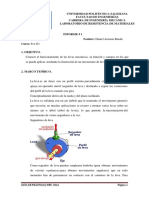 Informe Levas