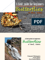 A Field Guide For Beginner'S - Butterfly