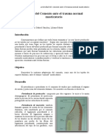 Trabajo Final Cemento y Masticación