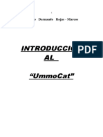 UmmoCat Introduccion-1