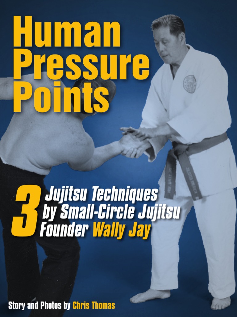 Dim Mak Martial Arts Pressure Points Pdf