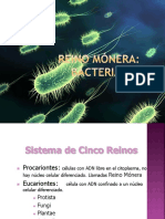 Bacteriasñp