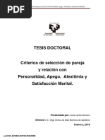 Tesis Anton Romero Javier